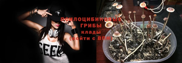 тгк Белокуриха