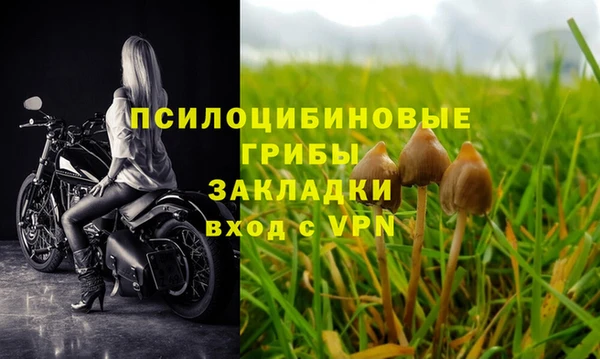 тгк Белокуриха